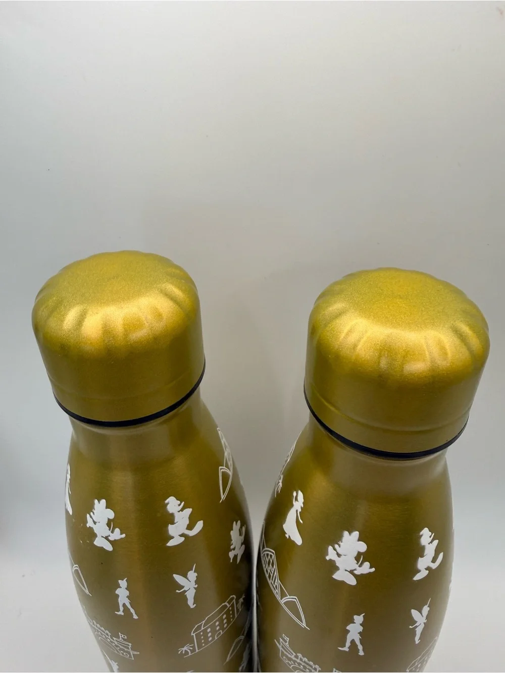 2 Disney Vacation Club DVC Member 2022 Gold Stainless Steel Water Bottles